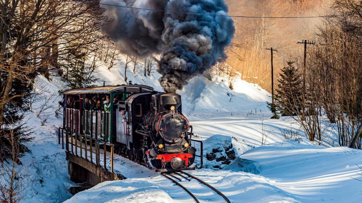 Drozdowka Nad Solina - Chata Z Kominkiem エクステリア 写真